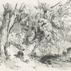 Graphite Drawing